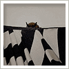 bat hiding on curtain
